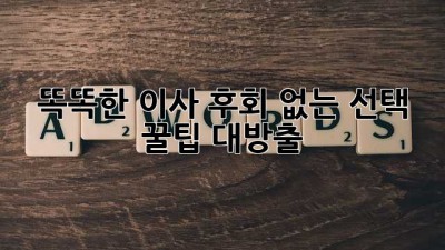 똑똑한 이사, 후회 없는 선택! 꿀팁 대방출🍯