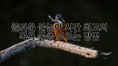 즐거운 물놀이 시간! 최고의 목욕 물총 고르는 방법
