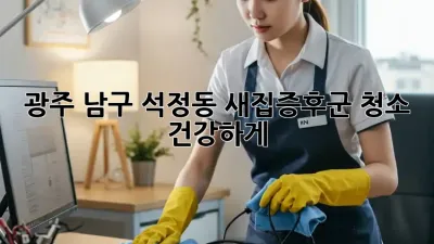 광주 남구 석정동 새집증후군 청소, 건강하게!