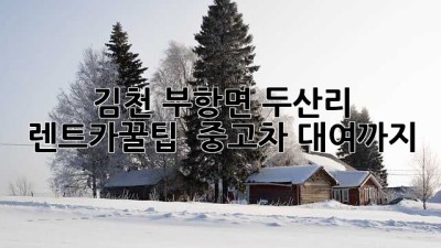 김천 부항면 두산리 렌트카🚗꿀팁 & 중고차 대여까지!