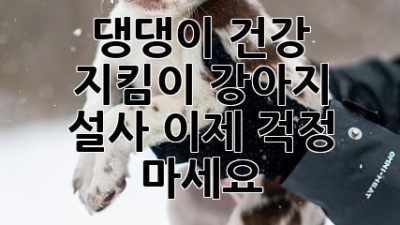 댕댕이 건강 지킴이: 강아지 설사, 이제 걱정 마세요!